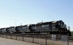 NS 3442 leads an all-EMD lashup on train P84